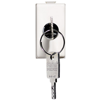 Interruttore 2P 16A chiave AM5007 | Bticino Matix