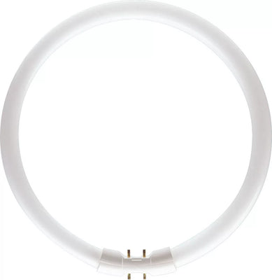 Circolina Neon 40W/840 415123.0101 Leuci
