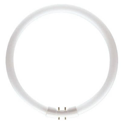 Lampanda Circolina a Neon MASTER TL5 CIRCULAR 60W/840/10 Fluorescente TL5C6084