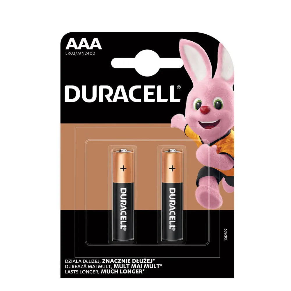 Batteria Alcalina AAA STILO 2 PEZZI  | Duracell