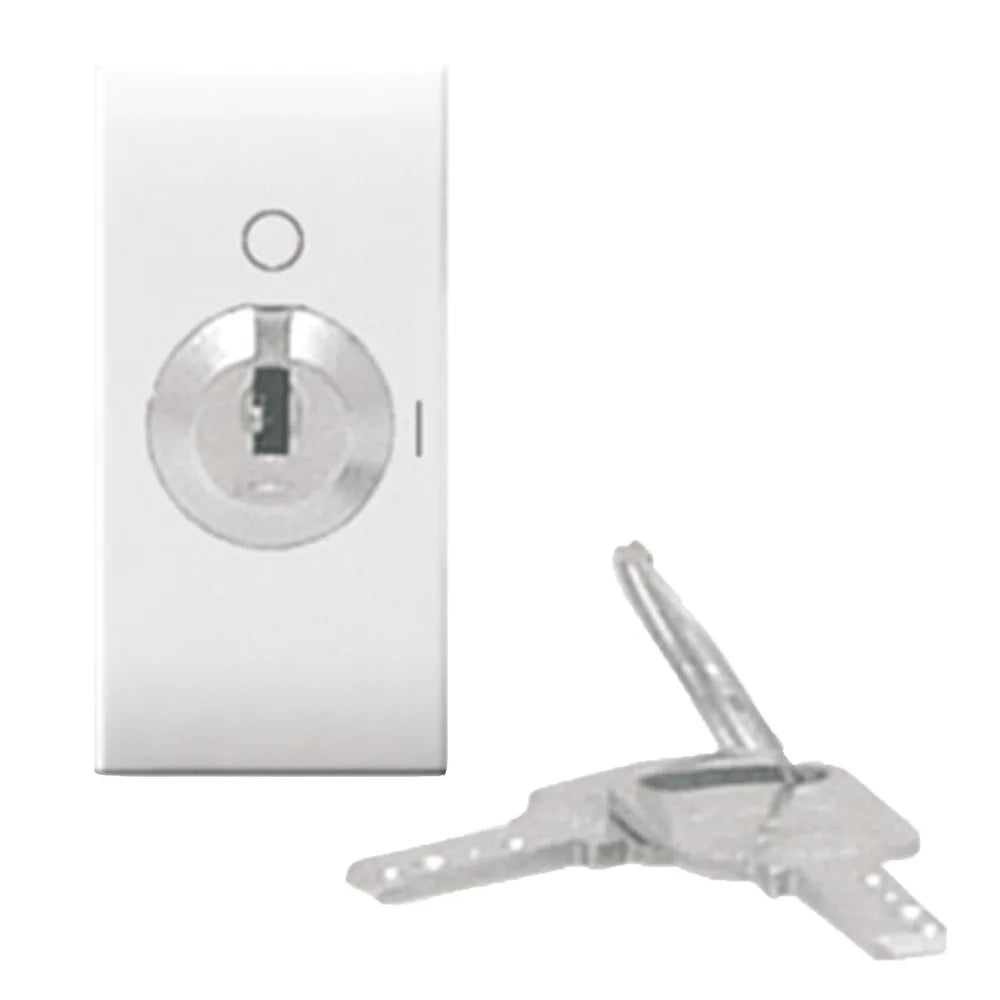 Interruttore a Chiave 2P 10AX 1M 441071 | Ave Domus S44