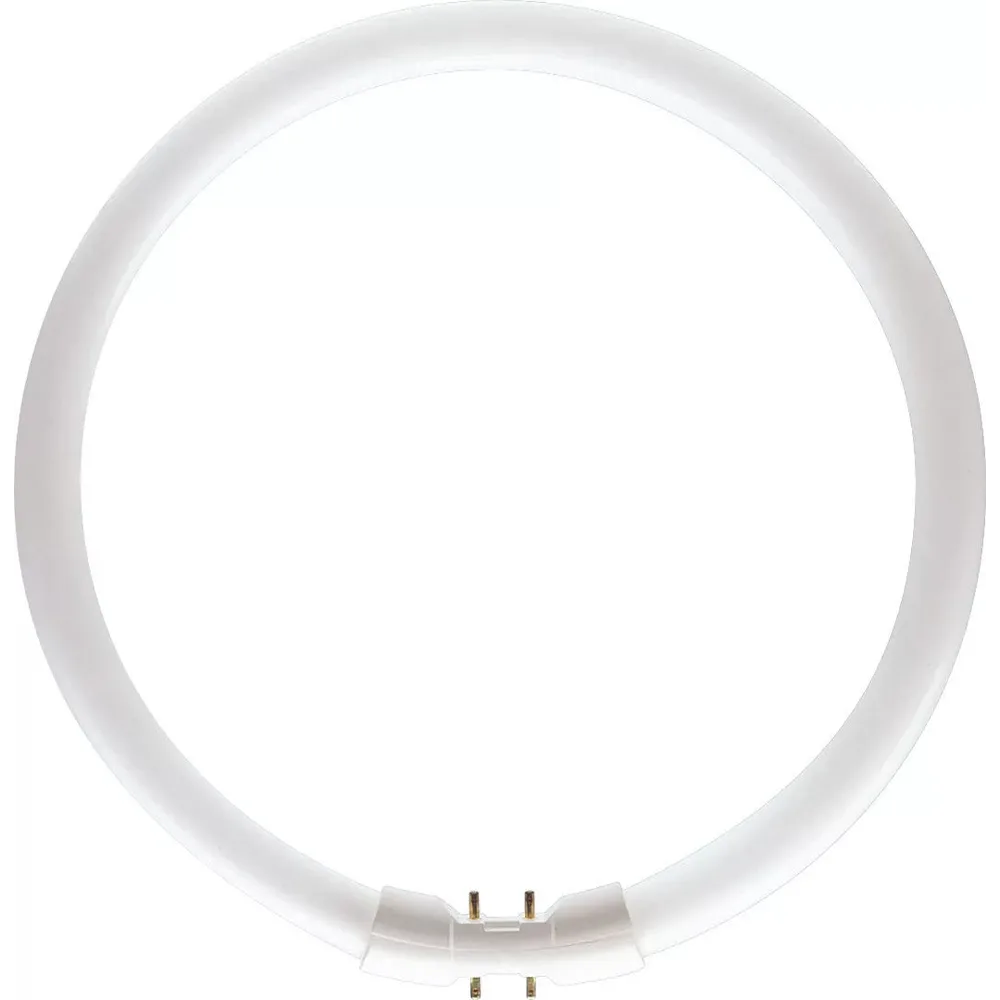 Circolina Neon 55W/827 415127.0101 Leuci