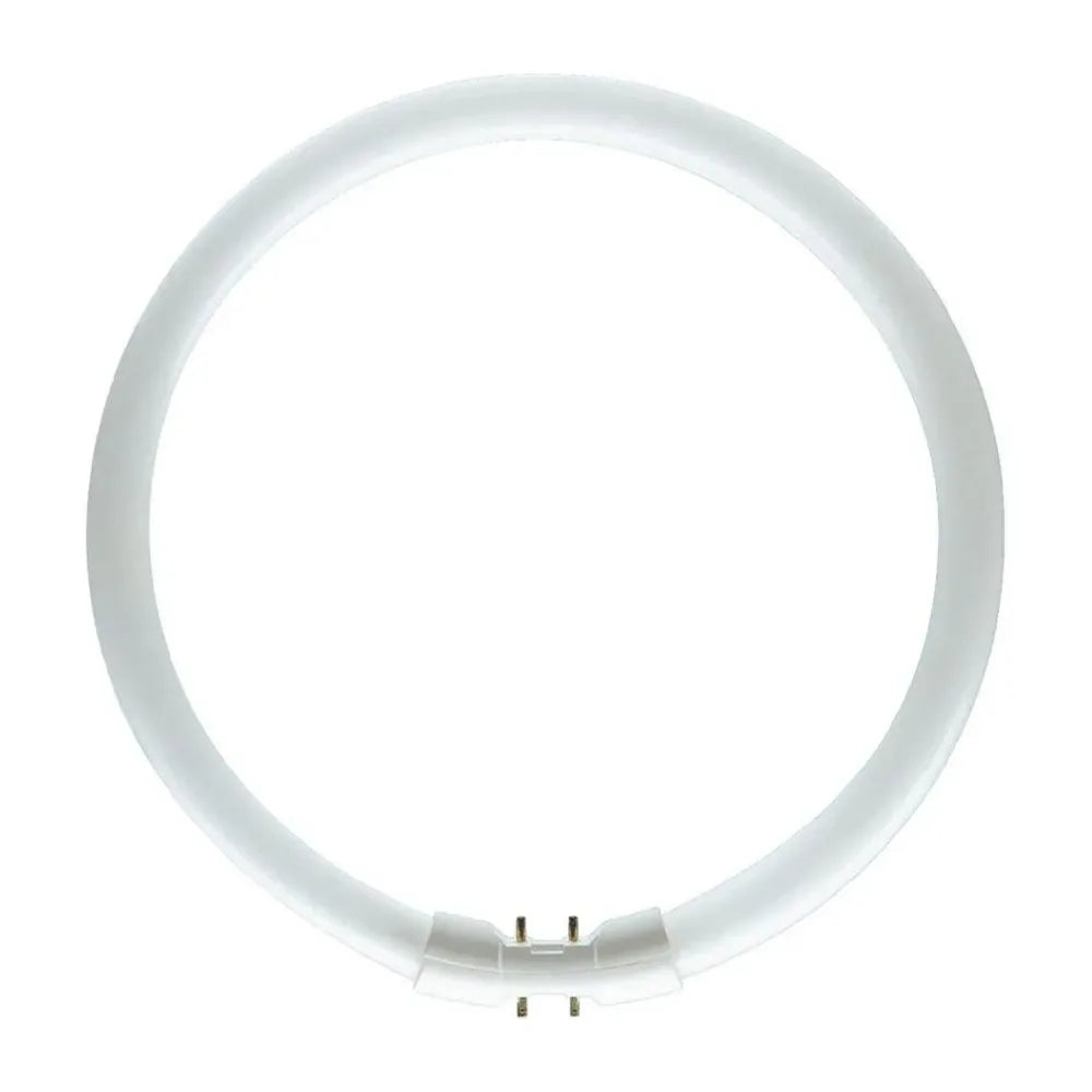 Circolina a Neon FC 40W/840 FS1 FC40840 Osram