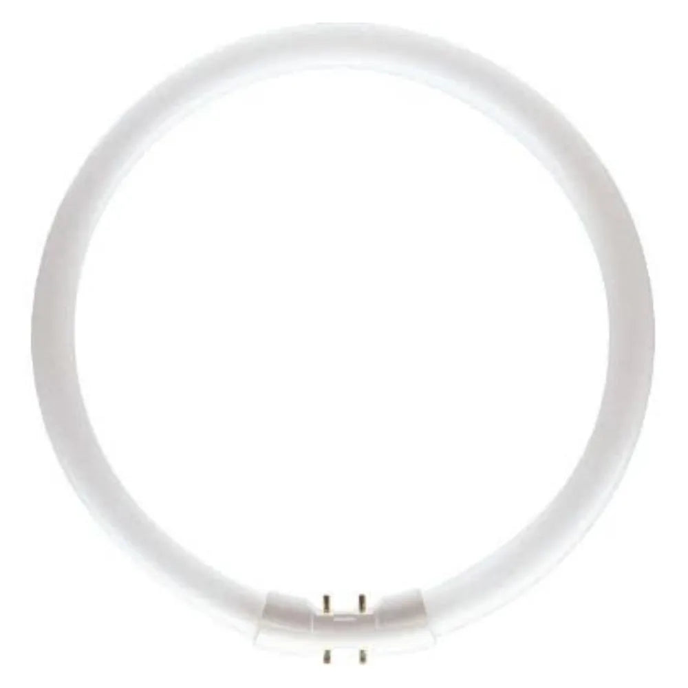 Circolina a Neon MASTER 60W/840 TL5C6084 Philips